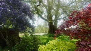 Robert Fripp Instagram - RF: Rising from Nightworld adventures, down the garden this morning...