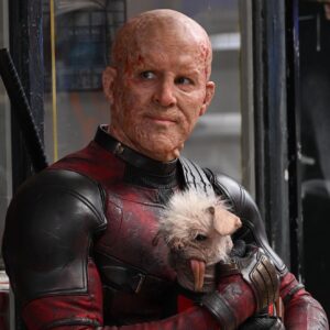 Ryan Reynolds Instagram - Peggy. Dogpool. Mary Puppins. She goes by many names. She’s obviously a very special cast member. What many don’t know, is that she was also the Intimacy Coordinator on #DeadpoolAndWolverine. Which was a complete disaster, start to finish. 

What kind of Intimacy Coordinator says hello each morning by hurling her leathery, 32 inch tongue into your throat and down to the bottom of your stomach?  But I think the biggest problem is that she’s a fucking dog. 

But I love this dog almost as much as she loves tasting me. She’s a good girl.  @dogpool