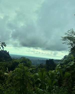 Ryan Toby Instagram - My Rain Forest Jungle Book photo dump

#rain #forest #world #travel #international #live #life #happy #love #instagood #share #like #tarzan #indianajones #adventure #jungle #book