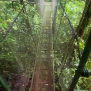 Ryan Toby Instagram - My Rain Forest Jungle Book photo dump

#rain #forest #world #travel #international #live #life #happy #love #instagood #share #like #tarzan #indianajones #adventure #jungle #book
