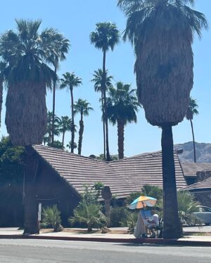 Ryu Deok-hwan Instagram - Palm Springs🌴
