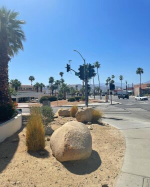 Ryu Deok-hwan Instagram - Palm Springs🌴