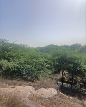 Samuel Abiola Robinson Instagram - Here shows some of the Beauty Of Delhi ❤️ @ Pre-production has began for my next project... Hindi Movie directed by Dibakar