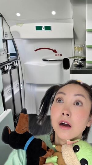 Sandra Kwon Instagram - She’s not wrong 😂 #minijeenie #cabincrewlife #jeenieair #flight