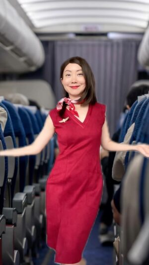 Sandra Kwon Instagram - LEARNING TO PLANE ✈️ ep.1 Can I get your attention pls? #planelanguage #language #firstflight #planeforbeginners #letsfly #howtofly #howtobeapassenger #friendlyskies