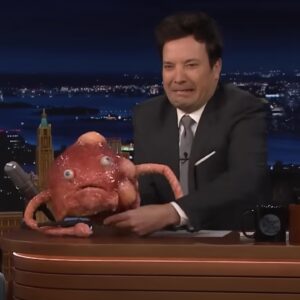 Sarah Sherman Instagram - brought my dad, my severed head, and a talking zit on @fallontonight 🫂👅

head by @louiezfx with sarah mullet wig by @jodimancusohairdesign 
zit by @monkeyboysproductions @dylan_pecora 

left foot yellow jacket by @motoguo 
styled by ashley dudek
dr jacoby 🔴🔵 makeup by @rachelmoose 
photo by 📸 @toddowyoung