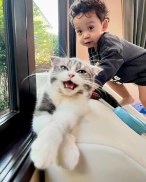 Saran Sirilak Instagram - ตัวแสบทั้งสองเยย 🤣🥰
#น้อนโฮมส์