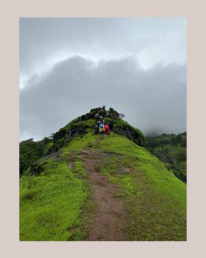 Saranya Pradeep Instagram - Matheran Beauty 💚❤️
#matherandiaries 

#matheran #hills #peace #foggy #foggymorning #nature #snails #mountains #photography #lovedit #trekking #new #places #newpeople #friends #adventure #placestogo #visit #once #❤️