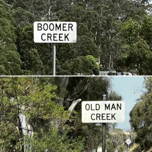 Sascha Lobo Instagram - Nur ein paar Minuten voneinander entfernt. Manche Gags schreiben sich selbst. 
#tasmania #tasmanien #australien #boomer