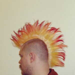Sascha Lobo Instagram - What a difference a decade makes

#iro #mohawk #throwback #20082009 #selfie #fire #feuer #feuerfrisur