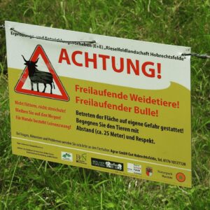 Sascha Lobo Instagram - Heute war ich seit längerer Zeit mal wieder allein in der Natur, um Tiere, Pflanzen und Mischformen zu beobachten. Mit 2 Kindern unter 2 kommt man ja seltener zu sowas - aber Rio ist kürzlich 2 geworden, also quasi erwachsen. 

Bogenseekette und Lietzengrabenniederung ist ein wunderschönes Naturschutzgebiet, in dem man die nahe A10 (bzw. Berliner Ringautobahn) praktisch kaum noch hört, wenn man sich die Ohren zuhält. Und die Natur hat mich mit offenen Armen empfangen und wirklich alles gegeben, so wollte sie mir sagen: Hey! Komm doch wieder öfter, schau wie super es ist! Fast wie wenn man nach langer Zeit mal wieder Pokemon Go spielt und alles ist voller unbekannter Pokemon. 

1) Sommersteinpilze. Natürlich NICHT im Naturschutzgebiet gefangen. Oben leichter bis mittlerer Schneckenfraß, für ein Instafoto von unten noch perfekt. 

2) Bin recht sicher, dass es ein Kleines Wiesenvögelchen ist, aus der Unterfamilie der Augenfalter. Die drei interessantesten Facts zu Kleinen Wiesenvögelchen: Fliegen von Februar bis November. Raupen essen am liebsten eine anzüglich klingende Süßgrasart namens „Schwingel“. Und sie haben Stürzpuppen, was sich etwas famoser anhört, als es am Ende ist. 

3) Irgendwelche mittelinteressanten Leute aus der Familie der Feldheuschrecken, vielleicht Braune Grashüpfer, ich fand eigentlich nur die Konstellation witzig. 

4) Vermutlich ein Ammendornfingergespinst. Ammendornfinger sind die einzigen Giftspinnem in Deutschland, die durch Menschenhaut beißen können. In den letzten ca. 50 Jahren gab es in Europa 12 gesicherte Fälle von Ammendornfingervergiftungen, die zudem so wehtun wie ein Bienenstich, Panik ist also völlig angebracht.

5) Parasolpilze. Mitten im NSG, daher stehen gelassen.

6) Ankündigung eines freilaufenden Bullen.

7) Freilaufender Bulle.

8) Der Neuntöter aus der Familie der Echten Würger trägt nach meiner Kenntnis regional die schönsten Namen: Rotrückenwürger, Dorndreher, Neunmörder, Falkensänger, Wildelster, Rabraker, Dickkopp und Quarkringel. Toll! 

9) Eine vergleichsweise tote Spitzmaus.

10) Süßgräser (evtl. Schwingel), perfekt scharf gestellt bekommen, trotz unregelmäßigen Hintergrunds, bin richtig stolz. 
#naturfotografie