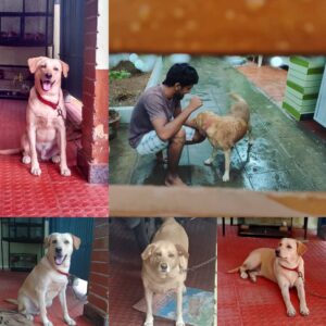 Sassi Selvaraj Instagram - How can i forget you , how can i pass days without you .. even a day is very harder, miss you a lott daa macc . 10 years passed like seconds .Rest in peace da . Love u more than anything . Please return if possible