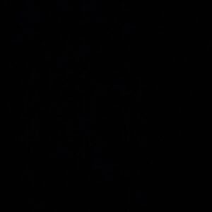 Sean Keenan Instagram - #blackouttuesday @blklivesmatter #aboriginallivesmatter 🖤