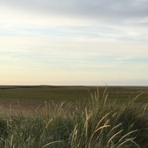 Sebastian de Souza Instagram - One summer, four years ago, I was invited by Phil Stevens to go to Lincolnshire for a week to join the company of his film Lapwing. I had read Laura Turner’s script and thought it was miraculously well written (not to mention miraculously well timed).

When I got to Saltfleet I found two things. 

1: some of the most beautiful and otherworldly scenery I had ever seen (let alone visited) in my life. The marshes were so flat and unspoilt and rugged and alien: I know the pictures above look like they were taken on Tatooine but I promise you that’s England, not a galaxy far far away. 

2 (and most importantly): the smallest yet hardest working crew I have ever come across in my life. All the individuals I met were there for one reason: to support each other from dusk till dawn in order to get the thing made. No one’s position was too lofty and no one was too grand. Everyone got stuck in. We all carried cameras and lights and props and pack lunches and people! back and forth and back and forth across the marshes all day long, stopping now and again to shoot a scene before sitting down on a grassy bank to discuss the next one. Very often I felt I didn’t know when real life stopped and the film began, because of where we were and the way we were working. 

Being a part of the making of Lapwing reminded me that, at the end of the day, the only thing you need to be able to make a piece of art (or anything for that matter) is the energy to start and the determination to finish. It doesn’t matter how many people you’ve got helping you, it doesn’t matter how much money. 

I am really proud of the film and of being a small cog in its wheel. I found it inspiring to be a part of it and hope anyone who wants to make films is inspired by watching it. It really is amazing what people can achieve when they all share the same goal and they truly believe in what they’re doing. 

The Lapwing trailer is now available to watch! And it’s in Theatres and OD on 26th November 2021. @lapwingmovie