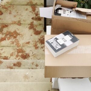 Sebastian de Souza Instagram - Dear Souzles, the fact that this is my 1000th post on Instagram is totally coincidental but, in the circumstances, it feels pretty appropriate!

The first picture in this very happy carousel is of me sitting on some steps, holding my first ever book, surrounded by boxes and boxes more of them. (These are the books that you pre-ordered on the @offlineruniverse site! All of which will now be signed, whether you like it or not, and sent directly to you!) 

The third video is of the books actually arriving, driven here from the printers by the unbelievably kind and generous spirited Darren (who definitely thinks I am more than just a bit crazy, having four hundred 600-page paperbacks delivered “curbside”). 

The fifth picture is of Darren and I and the book. We opened one of the boxes, pulled out the first ever copy of KID: A HISTORY OF THE FUTURE in the world and Darren took it home! The first ever Offliner! 

So to Darren, the Souzles and ALL the Offliners out there in the @offlineruniverse — thank you for making my dreams come true. 

I wrote this book for you. 

Lv U All Forever, SdS