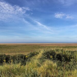 Sebastian de Souza Instagram - One summer, four years ago, I was invited by Phil Stevens to go to Lincolnshire for a week to join the company of his film Lapwing. I had read Laura Turner’s script and thought it was miraculously well written (not to mention miraculously well timed).

When I got to Saltfleet I found two things. 

1: some of the most beautiful and otherworldly scenery I had ever seen (let alone visited) in my life. The marshes were so flat and unspoilt and rugged and alien: I know the pictures above look like they were taken on Tatooine but I promise you that’s England, not a galaxy far far away. 

2 (and most importantly): the smallest yet hardest working crew I have ever come across in my life. All the individuals I met were there for one reason: to support each other from dusk till dawn in order to get the thing made. No one’s position was too lofty and no one was too grand. Everyone got stuck in. We all carried cameras and lights and props and pack lunches and people! back and forth and back and forth across the marshes all day long, stopping now and again to shoot a scene before sitting down on a grassy bank to discuss the next one. Very often I felt I didn’t know when real life stopped and the film began, because of where we were and the way we were working. 

Being a part of the making of Lapwing reminded me that, at the end of the day, the only thing you need to be able to make a piece of art (or anything for that matter) is the energy to start and the determination to finish. It doesn’t matter how many people you’ve got helping you, it doesn’t matter how much money. 

I am really proud of the film and of being a small cog in its wheel. I found it inspiring to be a part of it and hope anyone who wants to make films is inspired by watching it. It really is amazing what people can achieve when they all share the same goal and they truly believe in what they’re doing. 

The Lapwing trailer is now available to watch! And it’s in Theatres and OD on 26th November 2021. @lapwingmovie