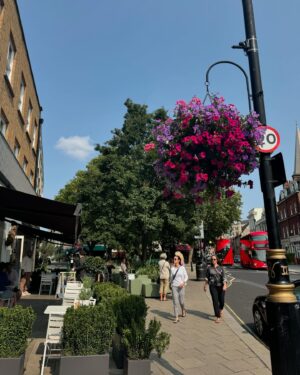 Şebnem Bozoklu Instagram - Çok tuhaf bir dump oldu.kaydırın havanız değişsin 🌹
