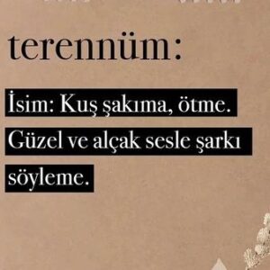 Şebnem Sönmez Instagram - Sevgili arkadaşlar;

Canımız cız ediyor hala, yanığı uzun sürecek biliyoruz. 

Bir Terennüm oyunumuzu büyük kayıplarımızı yaşarken dura kalka, düşe kalka çıkardık. 

Bize büyük dersler verdi sürecimiz. 

Bildiklerimizi tarttık, bazılarını attık, bazılarını aldık, başka gözlere akıl danıştık, sözünü esirgemeyen herkesi dinledik, sözümüzü özünden güçlendiren her ana şükran duyduk. 

İnsanların ortasında konuşmaya hep çekindim, utangaç biriyim. 

Yarı gölgeden fısıldamak bana hep daha yakın gelir, rahat ederim. 

Minnet duyarak teşekkür edeceğim insanları size buradan sunmak isterim. 
@ipekturktan olmasaydı @orchestratheatre kuramazdım 🙏

@iskit_tolga cevheri kendi olan bir oyuncu 🤍

@gulhankadim zarafetli, incelikli, keskin aklını derin gönlüne eş edebilen bir rejisör 🤍

@firuzengin gizil gücü kendi olabilen, her zaman çalışmak isteyeceğim bir yazar 🤍

@ilaydasaran cemre gibi düşen, cemre düşüren bir sahne tasarımcısı 🤍

@sagir_ismail ışığını hiçbirimizin üstünden almasın 🤍

@burcakcollu besteleri terennümümüzün incecik derinliği 🤍

@bukeaksehirli sana ne desem az, ne desem yetmez, ya olmasaydın!

@orchestracontent böyle bir dönemde şövalyeliğe soyunan, müthiş desteğimiz 🤍

Yapamadıklarımız için suçluluk duymayalım ne olur!

Yapabildiklerimiz bizi birbirimize bağlayacak 🤍

Sevgi ile terennüm olsun köprümüz 🤍