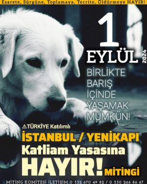 Şebnem Sönmez Instagram - 1 Eylül'de neredeymişiz?
Çok mu kalabalıkmışız?
Ne diyormuşuz?
#katliamyasasınahayır