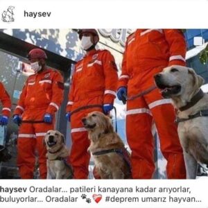 Şebnem Sönmez Instagram - Göz yaşartıcı 🥹 Hayvansevmezlere selam ederim 🖤