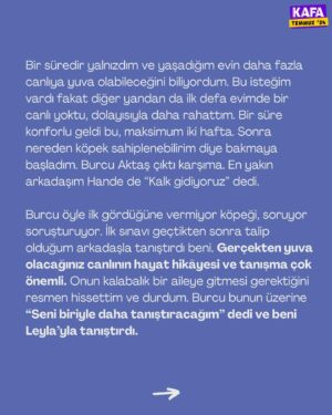 Seda Türkmen Instagram - “Koşulsuz sevginin gücüne inanın. Onlara iyilik yaparken esas iyiliği kendinize yaptığınızı anlayacaksınız.” 🫂

✍🏼 @turkmenseda “Leyla”yla yollarının nasıl kesiştiğini anlattı. Leyla’nın sahiplenilme hikâyesi için gönderiyi sağa kaydırın.

🎈 #Temmuz kapağımızdaki 9 köpeğin sahiplenilme hikâyeleri derginin içinde sizleri bekliyor.