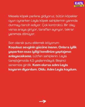 Seda Türkmen Instagram - “Koşulsuz sevginin gücüne inanın. Onlara iyilik yaparken esas iyiliği kendinize yaptığınızı anlayacaksınız.” 🫂

✍🏼 @turkmenseda “Leyla”yla yollarının nasıl kesiştiğini anlattı. Leyla’nın sahiplenilme hikâyesi için gönderiyi sağa kaydırın.

🎈 #Temmuz kapağımızdaki 9 köpeğin sahiplenilme hikâyeleri derginin içinde sizleri bekliyor.