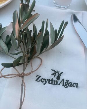 Selen Uçer Instagram - #zeytinağacı #anotherself #2season @netflixturkiye  @ogm.pictures  @nuranevrensit @burcu.alptekin @erdem.tepegoz ve tüm ekibe 💚💙❤️sizle olmak çok güzel 😍🍀🧿🙏💫 @personamenajerlik