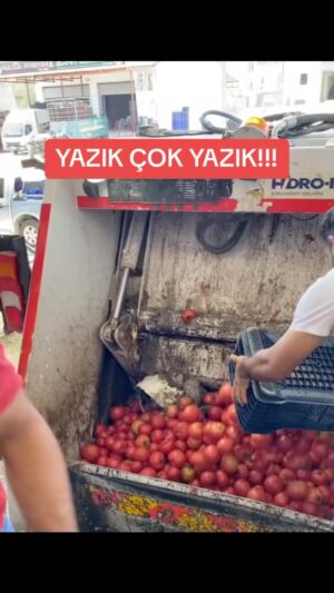 Selim Gülgören Instagram - Yine sosyal medya’da dolaşan bir görüntüyü sizle paylaşıyorum😓 İnanılır gibi değil!!! Çiftçi elimde kaldı kimse almıyor çöpe döküyorum diyor!!! Bir taraftan bu kadar fazla ürün olduğu halde fiyatlar uçmuş durumda!! Yorumlarınızı merak ediyorum✍️
.
.
.
#selimgülgören #şarkıcı #oyuncu #instagram #instagram #çifçi #israfetme #vatandaş #ürünler #fahişfiyatlar #limon #biber #karpuz #domates #buişinsonuneolacak