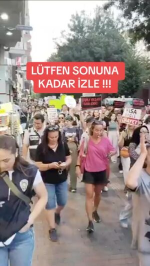 Selim Gülgören Instagram - Onlarca hikaye paylaştım ,sizler için yeterli olmamış bir kez daha video olarak düşüncelerimi paylaşmak istedim 👈 Neden sessiz kalıyorsun demenize hayret ediyorum🧐Eleştirmeden önce sonuna kadar izleyin !!! 
.
.
.
#selimgülgören #şarkıcı #oyuncu #instagram #instareels #sokakhayvanları #kanlıyasayahayır #sokakhayvanlarısahipsizdeğil