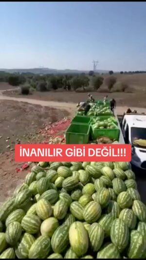 Selim Gülgören Instagram - Dün bu video’yu hikayede paylaşarak bir çok yetkiliyi etiketledik ve bir açıklama bekledik ama maalesef bir açıklamasını bulamadık!!!
Şimdi ise gönderi olarak paylaşıyor ve tüm yetkililere sesleniyoruz. Bu israfın bir açıklaması varmı ?  Bu ürünler bozukmu neden atılıyor ?
.
.
.
#selimgülgören #şarkıcı #oyuncu #instagram #instareels #israf #israfetme #karpuz #limon #biber #israfakarşıyız #ürünleriçöpeatma #yetkililer #tarımbakanlığı