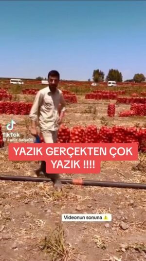 Selim Gülgören Instagram - Bakın bu video’nun ne zaman hangi tarihte çekildiğinin bir önemi yok hangi üreticiyle konuşsam gözleri yaşlı durumda. Bu insanların sesini duyurmak hepimizin görevi lütfen bu video’yu paylaşın ve paylaştırın✍️
.
.
.
#selimgülgören #şarkıcı #oyuncu #instagram #instareels #üretici #çiftçi #çiftçiyiküstürmeyin #tarla #meyvesebze #marketler #hal #satıcı #aracı #sebzemeyvefiyatları