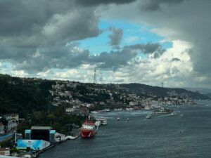Sema Ergenekon Instagram - #istanbul