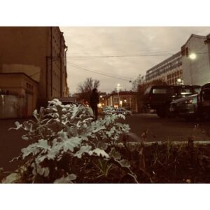 Semyon Treskunov Instagram - 