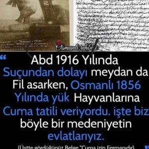 Şenol İpek Instagram - Tarihini Atalarını cahil olarak nitelendiren belli bir kitleye bu paylaşımı yapmak istedim .. not:  soldaki fil haberinin doğruluğunu şahsen bilemem belki ama sağdaki fermanda gayet hayvan haklarını savunan  bir medeniyet var..