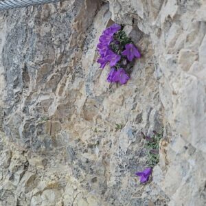 Serena Autieri Instagram - Impresa iconica portata a termine! ⛰️ 🧗 
Raggiungere in ferrata la cime della Tofana di mezzo a 3.244 mt dopo 7 ore mi fa sentire fiera del gruppo di amici storici con cui l’ho fatto, forte e realizzata. 
Abbiamo provato ogni emozione dalle risate iniziali, alla gioia pura, dall’adrenalina alla paura di non farcela…
Già programmando la prossima💪🏻