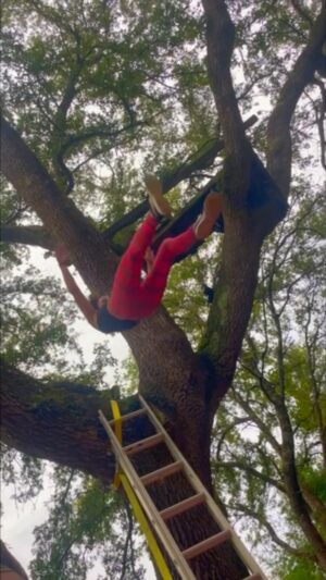 Serena Deeb Instagram - Learning High Falls with Phil O’Dell and @lukehawx504 
#stunts #stuntwoman