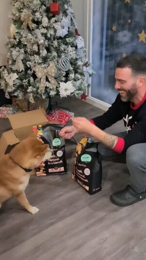 Sérgio Rosado Instagram - A @barkyn, é uma ração criada em Portugal, uma nutrição completa e saudável para o vosso cão, com a oportunidade de ter acompanhamento veterinário online.
O Yuuki adora esta comida, feita de ingredientes frescos e naturais em biscoitos, vem personalizada com o nome dos nossos animais 🥰🐾.

Antioxidantes ( os óleos essenciais já fazem parte do nosso dia-a-dia, agora o Yuuki tb tem na sua ração) : 
✔️ Curcuma e Boswellia reforçam a imunidade, prevenindo doenças.

A comida mais natural :
✔️ Sem cereais, 65% carne, legumes e frutas frescas.

Prebióticos   probióticos :
✔️ L. Casei Immunitas para cães que aumenta a saúde gastrointestinal.

Suplemento para o pelo :
✔️ A ação anti-inflamatória do ómega 3 e 6 dá brilho e força ao pelo.

.
.
.
#pub #barkyn #shibainu #dogs #dogfood