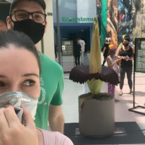 Shannon Woodward Instagram - the corpse flower at the California science center bloomed last night. They bloom once every 4-6 years. For 24 hours. My brother and I dropped everything to come see it. Smells horrific, confirmed.