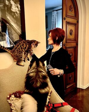 Sharon Osbourne Instagram - The Queen Tiger Lily 🐈