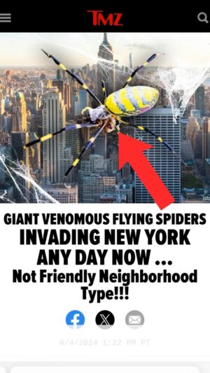 Sharon Osbourne Instagram - Joro spiders invading New York and New Jersey this summer?! Absolutely disgusting! Time to avoid the entire East Coast!
Ep. OUT NOW on Youtube, Rumble or wherever you get your podcasts. Follow @theosbournespodcast for all things Osbournes #theosbournes #TheOsbournesPodcast #ozzyosbourne