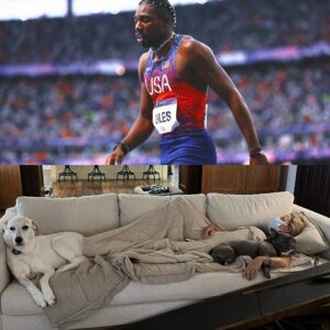 Sheryl Crow Instagram - Congrats Noah Lyles on winning bronze in the 200m WITH Covid - this is me with Covid last week… 🤪🤦🏼‍♀️

#olympics #olympics2024