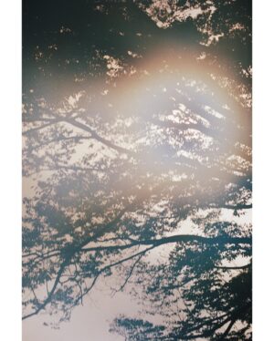 Shohei Matsuzaki Instagram - ウェブメディアMEGLY&COで「巡り」についてのインタビューを受けました。
公園、そして会うと元気の出る先輩・新岡潤さん @junniioka について話しました。
巡りについては特に考えたことがなかったので、正直にそう言いました。

取材中、タケシタくんがかっこいい写真を撮ってくれました。

取材・文: 飯島藍子 @sou_llc 
写真: タケシタトモヒロ @takesista 
編集: 竹中万季 @meandyou_inc 

@megly_jp 

https://media.megly-jp.com/article/kokoro008/