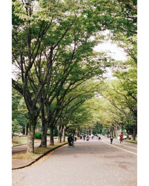 Shohei Matsuzaki Instagram - ウェブメディアMEGLY&COで「巡り」についてのインタビューを受けました。
公園、そして会うと元気の出る先輩・新岡潤さん @junniioka について話しました。
巡りについては特に考えたことがなかったので、正直にそう言いました。

取材中、タケシタくんがかっこいい写真を撮ってくれました。

取材・文: 飯島藍子 @sou_llc 
写真: タケシタトモヒロ @takesista 
編集: 竹中万季 @meandyou_inc 

@megly_jp 

https://media.megly-jp.com/article/kokoro008/