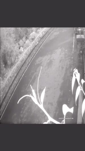 Sibi Sathyaraj Instagram - Wildlife Safari at our doorsteps!This CCTV footage of the leopard was captured today early morning by our neighbour in our gated community in Coonoor! #Leopard #Panther #Coonoor #Nilgiris #wildlife