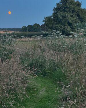 Sienna Guillory Instagram - Home to a fat pink moon
