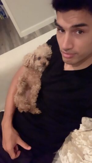 Siva Kaneswaran Instagram - Oh my heart. Been away from home is a challenge in itself. Loneliness can affect my mental health but I am so grateful for the opportunity to show up for myself, my family and my community. I only wish they allowed dogs to watch the live show 🤣🤪Miss Lola and Mylo so much 🥹 🐾 

#dogdad #toypoodle #poodle #siva #thewanted #boyband #dancingonice
