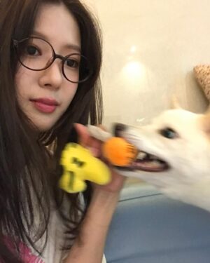 Song Su-i Instagram - 장마엔 집에서 #돌풍 이지 
@netflixkr