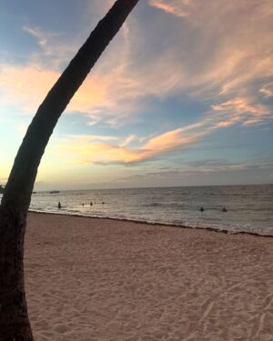 Sónia Araújo Instagram - 🌴☀️🌅
Tô bem!

#serenidade #relax #sunset #cool #bembom