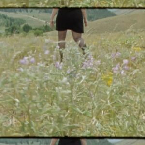 Sophia Regina Allison Instagram - Happy to finally announce my next album ‘Evergreen’ is out on 10/25! I wanted to change things up a bit on this one and play around with some more organic textures. It was really important for me that the songwriting shone through everything and came to the forefront. These songs are very close to my heart and I hope they become close to some of yours as well! 💫🦋

The first single “M” is out today and it’s a personal favorite 🙀 This was the first song I wrote for this album and I feel like it really gave me the direction I needed. The music video is directed by @annamalize and is also out now!

Watch the music video, listen to the song, and pre-order the new album at the link in bio 💚