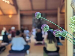 Sophie Grégoire Instagram - When you know, you know! 
When I first stepped foot on Cortes Island I felt I was on sacred land. Then when I got to Hollyhock where I taught over the weekend it simply felt like home. What a blessing it was to meet all of the beautiful participants who joined me in unfolding into our most authentic selves through yoga, deep relaxation, nature, and community. We are all recharged thanks to the team that runs this Canadian institution dedicated to wellness, mindful leadership, and positive social change. Great food, stunning gardens, dreamy sunsets, and wild open hearts! Thanks to my beautiful friends Melina Dawn @indigenousyogini and @deepavop for your profound and magical presence! 
@hollyhocklife